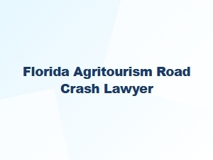 Florida Agritourism Road Crash Attorney